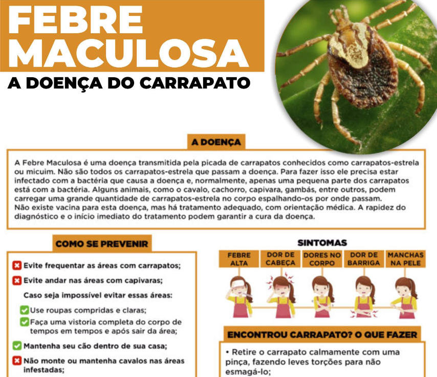 Como Evitar Febre Maculosa - ZULEDU